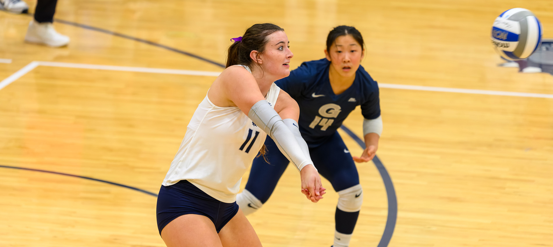 Hoya Volleyball Camps